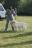 Mejor Pareja Nacional LRCA 2011. Juez Gunilla Ek, Suecia -Dartmoor Rusty y Dartmoor Sunny-